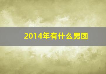 2014年有什么男团