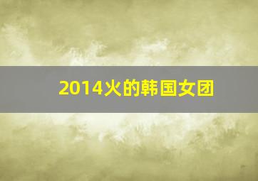 2014火的韩国女团