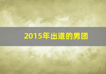 2015年出道的男团