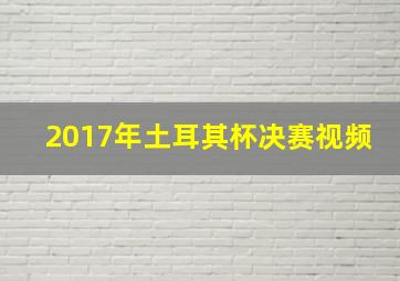 2017年土耳其杯决赛视频