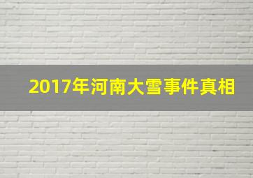 2017年河南大雪事件真相