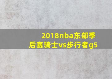 2018nba东部季后赛骑士vs步行者g5