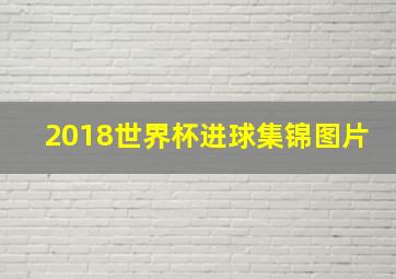 2018世界杯进球集锦图片