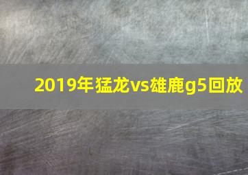 2019年猛龙vs雄鹿g5回放