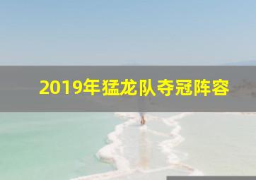 2019年猛龙队夺冠阵容