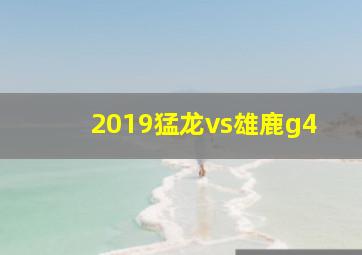 2019猛龙vs雄鹿g4