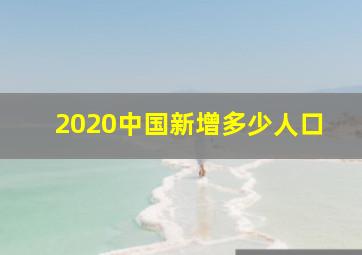 2020中国新增多少人口