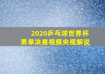 2020乒乓球世界杯男单决赛视频央视解说