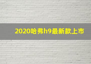 2020哈弗h9最新款上市