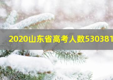 2020山东省高考人数530381人