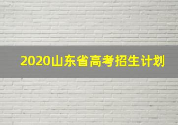 2020山东省高考招生计划