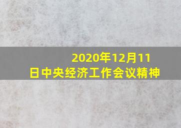 2020年12月11日中央经济工作会议精神