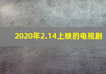 2020年2.14上映的电视剧