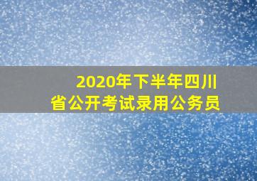 2020年下半年四川省公开考试录用公务员