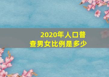 2020年人口普查男女比例是多少