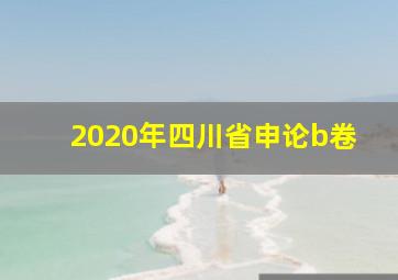 2020年四川省申论b卷