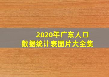 2020年广东人口数据统计表图片大全集