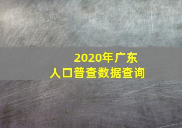 2020年广东人口普查数据查询