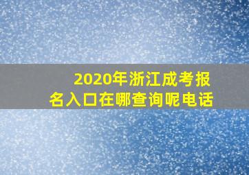 2020年浙江成考报名入口在哪查询呢电话