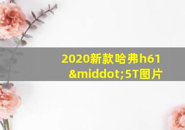 2020新款哈弗h61·5T图片