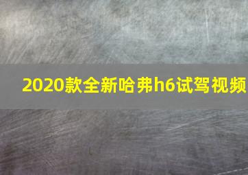 2020款全新哈弗h6试驾视频