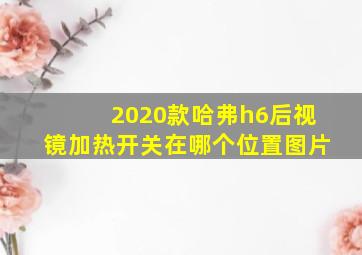 2020款哈弗h6后视镜加热开关在哪个位置图片