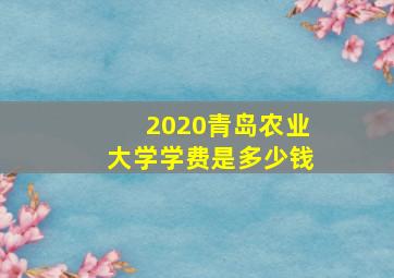 2020青岛农业大学学费是多少钱