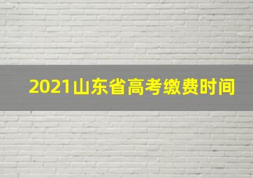 2021山东省高考缴费时间