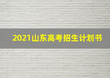 2021山东高考招生计划书