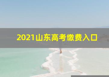 2021山东高考缴费入口