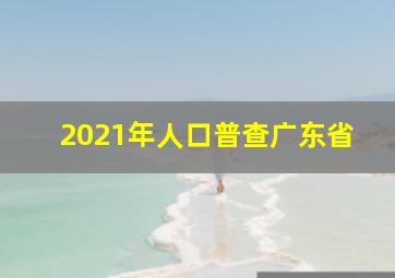 2021年人口普查广东省