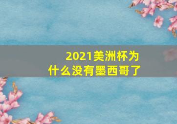 2021美洲杯为什么没有墨西哥了