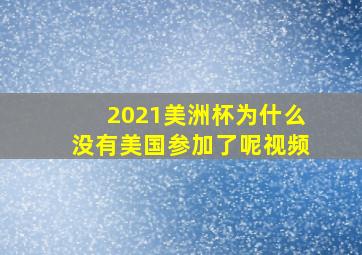 2021美洲杯为什么没有美国参加了呢视频