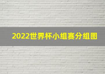 2022世界杯小组赛分组图