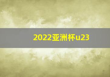 2022亚洲杯u23