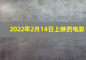 2022年2月14日上映的电影