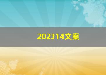 202314文案