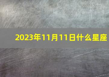 2023年11月11日什么星座