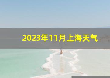 2023年11月上海天气