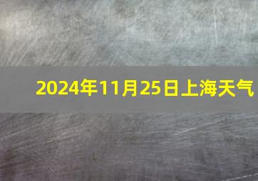 2024年11月25日上海天气