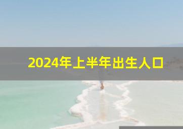 2024年上半年出生人口