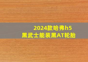 2024款哈弗h5黑武士能装黑AT轮胎