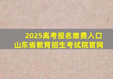 2025高考报名缴费入口山东省教育招生考试院官网