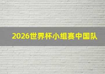 2026世界杯小组赛中国队