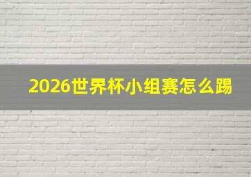 2026世界杯小组赛怎么踢