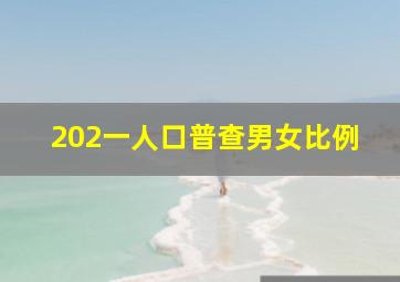 202一人口普查男女比例