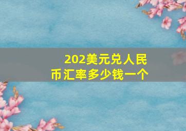 202美元兑人民币汇率多少钱一个