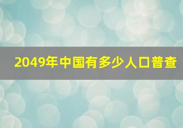 2049年中国有多少人口普查