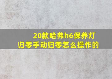 20款哈弗h6保养灯归零手动归零怎么操作的