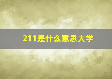 211是什么意思大学